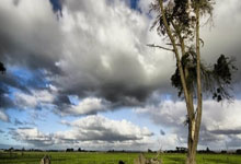 何卓佳:业余时间喜欢“养生”,有了好的身体才能做好事业.